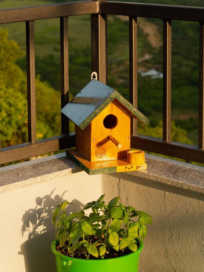 Apartment Village House Ravno Εξωτερικό φωτογραφία