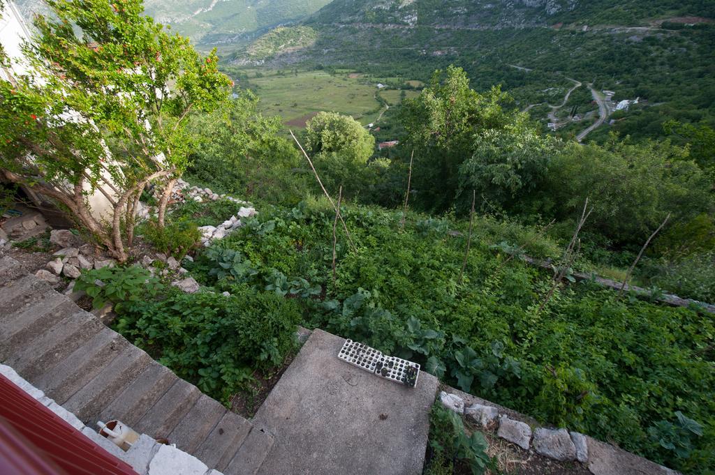 Apartment Village House Ravno Εξωτερικό φωτογραφία